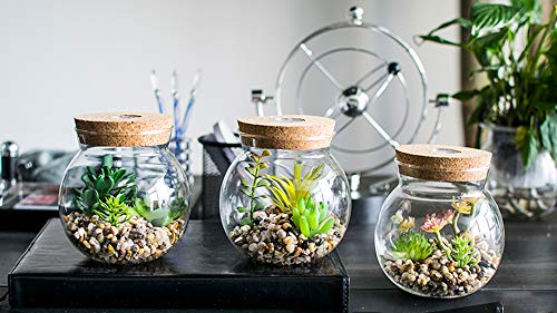 Plantas Suculentas Artificiales en Vaso Macetas con LED Diseño de Aromaterapia Corcho,Mini Plantas Falsas Faux Cactus Bonsai en Terrario Maceta Decoración para Dormitorio y Sala de Estar,Luz Blanca