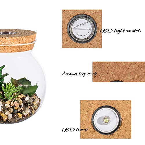 Plantas Suculentas Artificiales en Vaso Macetas con LED Diseño de Aromaterapia Corcho,Mini Plantas Falsas Faux Cactus Bonsai en Terrario Maceta Decoración para Dormitorio y Sala de Estar,Luz Blanca