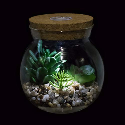 Plantas Suculentas Artificiales en Vaso Macetas con LED Diseño de Aromaterapia Corcho,Mini Plantas Falsas Faux Cactus Bonsai en Terrario Maceta Decoración para Dormitorio y Sala de Estar,Luz Blanca