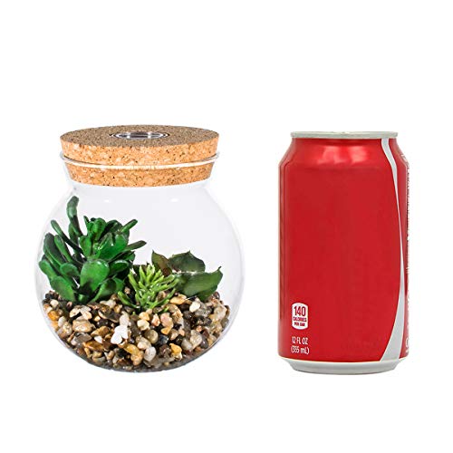 Plantas Suculentas Artificiales en Vaso Macetas con LED Diseño de Aromaterapia Corcho,Mini Plantas Falsas Faux Cactus Bonsai en Terrario Maceta Decoración para Dormitorio y Sala de Estar,Luz Blanca