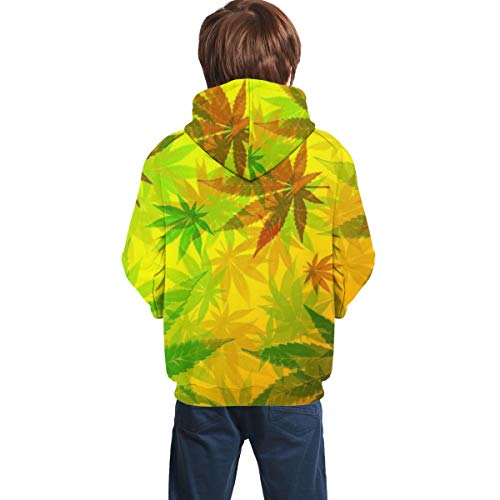 PNdeid 3D Print Weed Reggae Colorido Marihuana Cannabis Hojas Adolescente Sudadera Hipster Hip Hop Gimnasio Sudaderas