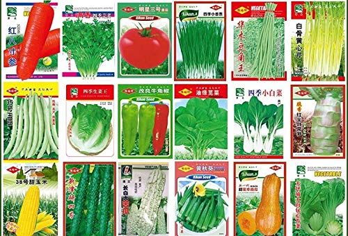 Portal Cool La cebolleta cebolletas 200 semillas: Vegetable Seeds China Spring jardÃ­n de otoÃ±o en maceta Yard estaciones original siembra de semillas vegetales Seeds BalcÃ³n Terraza JardÃ­n