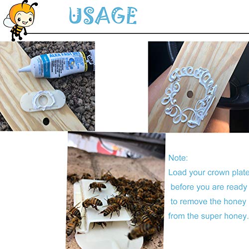 Porter Bee Escape Equipo para apicultores One Way Apicultores - Juego de 5 herramientas de apicultura, color blanco