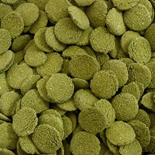 PROREZULT 6% Espirulina Algas obleas 200 g más plexiglás de plexiglás de Cichlid Catfish Pellets 200 g. Pack de Cada alimento Gran Valor. Alimento para Algas y Parte Inferior de Pescado