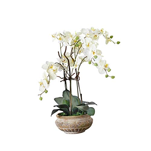 Pureday Planta Artificial orquídea orquídea Blanco-Crema con Maceta de cerámica marrón 58 cm de Altura