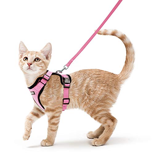 rabbitgoo Arnés para Gatos y Correa 150 cm Cuerda Chaleco Ajustable Antitirones Cómodo Material fácil de Poner y Quitar para Entrenamiento Seguridad Arnes para Perro Conejos Mascotas Pequeño XS Rosa