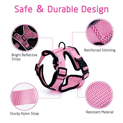 rabbitgoo Arnés para Gatos y Correa 150 cm Cuerda Chaleco Ajustable Antitirones Cómodo Material fácil de Poner y Quitar para Entrenamiento Seguridad Arnes para Perro Conejos Mascotas Pequeño XS Rosa