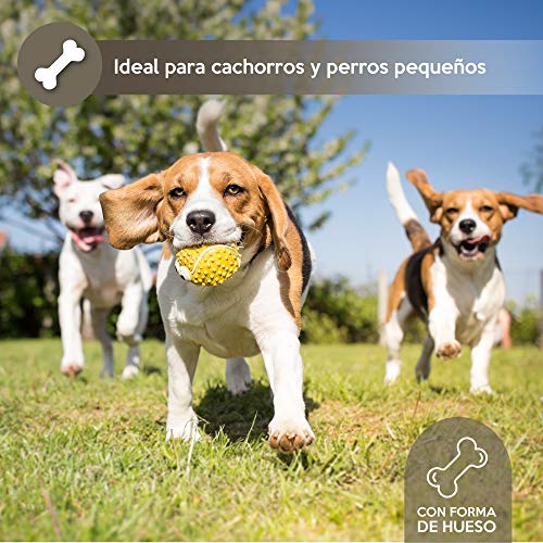 Rc Ocio Chuches Perros Pack premios Aperitivos Snacks Anti Mal Aliento Bajas Grasas Snack