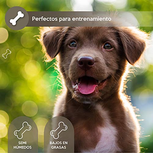 Rc Ocio Chuches Perros Pack premios Aperitivos Snacks Anti Mal Aliento Bajas Grasas Snack