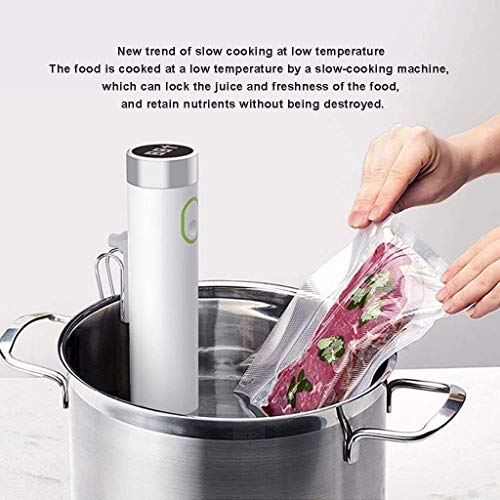 RENXR Sous Vide Cooker- IPX7 Impermeable Circulador de Inmersión preciso Cocina con Pantalla LCD, Touch Control, Temporizador for la Sana y una cocción Uniforme - Blanco DDLS