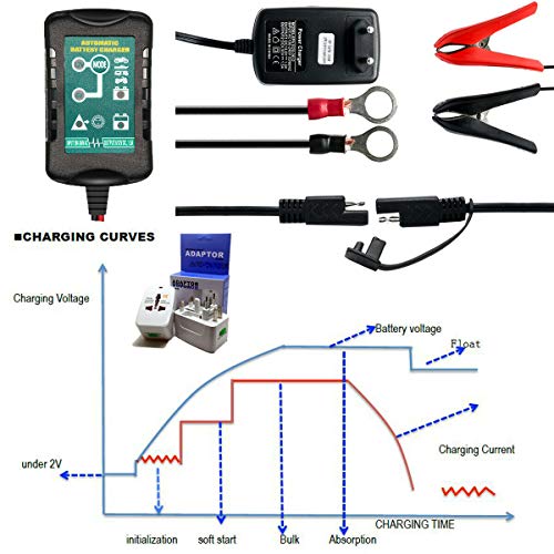 Riloer Cargador y Mantenedor de Batería de Automóvil, 6V / 12V 1.5A Cargador de Batería de Plomo Ácido Inteligente para Motocicleta de Automóvil con Enchufe Universal