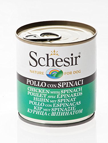 Schesir, Comida húmeda para Perros Adultos, Sabor Pollo con Espinacas, filetes en gelatina Blanda - Total 4,56 kg (16 latas x 285 gr)