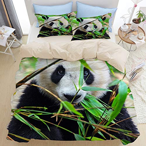 SDBUYW-ZQ Bedding Juego de Funda de Edredón,Beige,Oso Panda Gigante Hambriento Comiendo bambú,Funda de Nórdico y 2 Fundas de Almohada Single