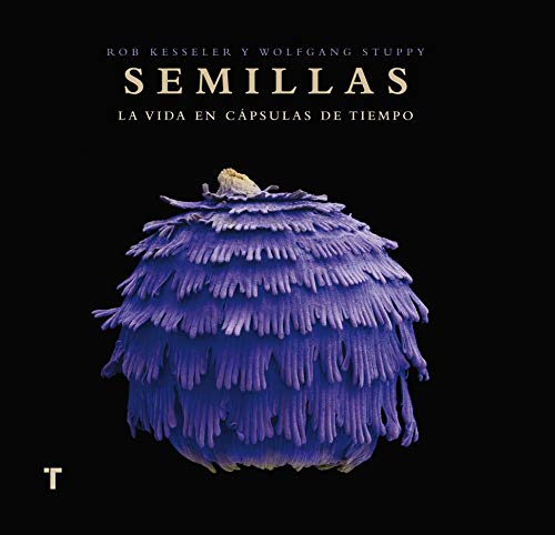 Semillas: La vida en cápsulas de tiempo (Arte y Fotografía)