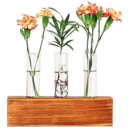 Siunwdiy Florero de Cristal del florero de Cristal con Marco de Madera Colgante en Forma de Tubo de ensayo para la decoración Floral de la Oficina en casa,Clear,Style5