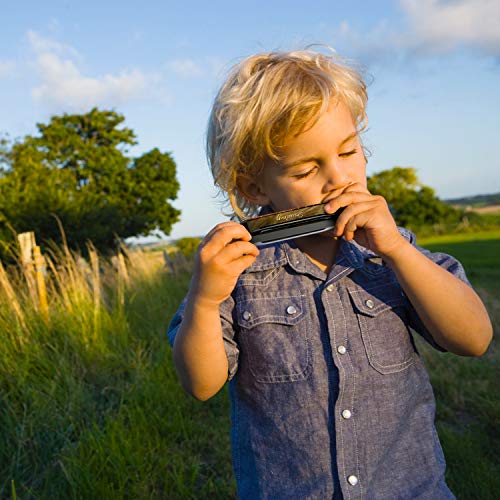 Souidmy Armonica Diatonica, Blues Harmonica, Con 10 Agujeros 20 Tonos, Mayor C, Estructura de Placa de 0,8mm, Cubierta de Acero Inoxidable, Para Niños y Principiantes (Color Negro)