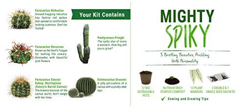 Sow Lush Kit de Semillas de Cactus «Mighty Spiky», para Regalo Todo lo Que Necesitas para Que Puedas Cultivar Tus 5 bebés con púas y Personalidad.
