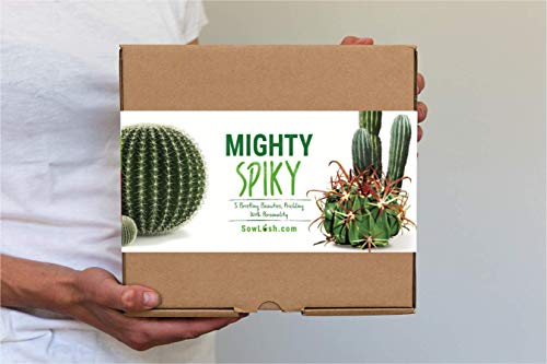 Sow Lush Kit de Semillas de Cactus «Mighty Spiky», para Regalo Todo lo Que Necesitas para Que Puedas Cultivar Tus 5 bebés con púas y Personalidad.