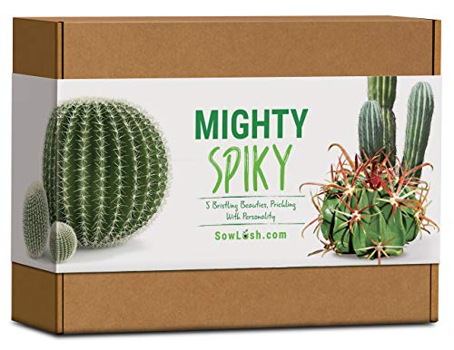 Sow Lush Kit de Semillas de Cactus «Mighty Spiky», para Regalo Todo lo Que Necesitas para Que Puedas Cultivar Tus 5 bebés con púas y Personalidad.