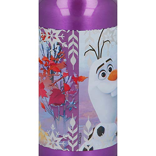 Stor Botella Aluminio 400 ML | Frozen 2