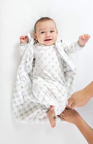 SwaddleDesigns Saco de dormir Cozy zzZipMe, Círculos en color pastel, Kiwi, 12-18 meses