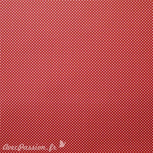 Tassotti – Papel de Tassotti – diseño recto verso lunares rojo 85 gr/m2