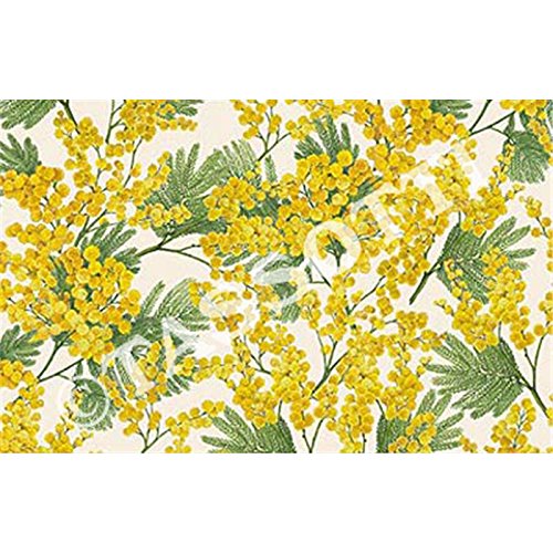 Tassotti – Papel Tassotti – À Motifs Mimosa – 85 gr/m2