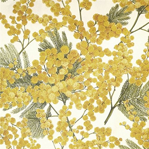 Tassotti – Papel Tassotti – À Motifs Mimosa – 85 gr/m2