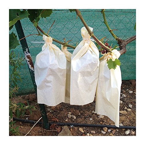 Tecnologías Agrarias 50 Bolsas Protectoras para Uvas (40 cm x 26 cm)