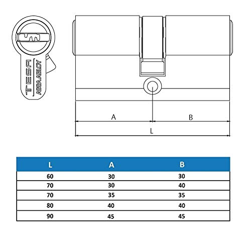 TESA 3012424 Assa Abloy, TK153535N, Cilindro de Alta Seguridad, TK100, Doble Embrague, Leva Larga, Niquelado, 35 x 35 mm