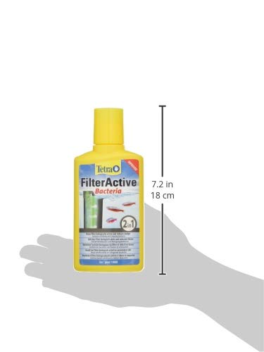 Tetra FilterActive 250 ml - Contiene bacterias iniciadoras vivas y bacterias limpiadoras reductoras de lodo