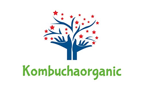 The Best Quality in Europe Beautiful kombucha XL scoby Starter Tea kombucza Probiotic Detox