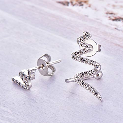 The New Asymmetric Curve Diamond Earrings, Earrings Personality Serpentine, Wavy Lines Ear Clip Steel Color