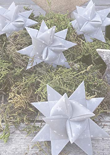 Tiras de papel transparente para estrellas de rana, (2 x 60 cm, 60 tiras, 115 g/m2)