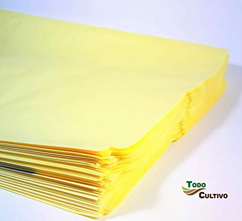 Todocultivo Bolsa de Papel Protectora de Frutos. 100 Unidades. Válidas para Proteger racimos de UVA, Frutos Variados o Cualquier Tipo de Plantas Delicada.