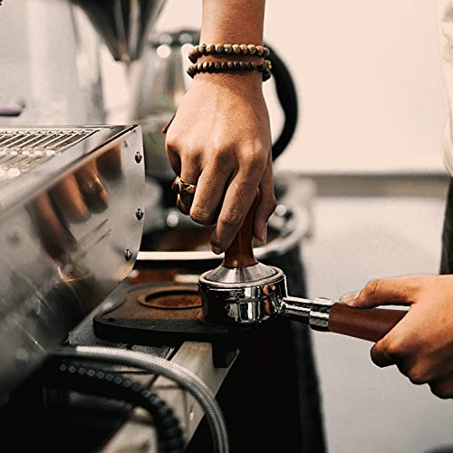 Top-Spring - Prensa de café de mano de acero inoxidable con mango de nogal para café (53 mm)