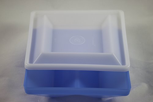 Tupperware rareza Asia de forma rectangular y plato de bufé de colour azul y blanco noble dividido de desayuno para servir