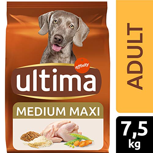 Ultima Pienso para Perros Medium-Maxi Adulto con Pollo - 7,5 kg