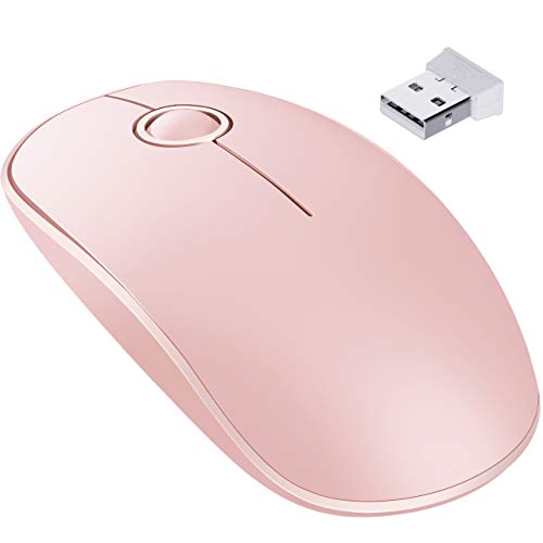 VicTsing Ratón Inalámbrico Mini 1600 dpi, Ratón Portátil Delgado, Tecla Silenciosa y Preciso, 2.4G con Receptor Nano, Ordenador Portátil/PC/Tableta (Versión 2020)