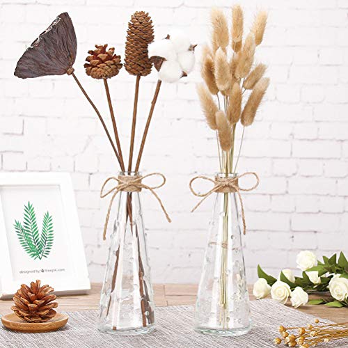 VOSAREA 15 unids Flores Secas Hierba Seca Pennisetum Conejo Cola Heno Conejito Cola Plantas Naturales Decorativas Flores Secas Pastoral Decoración para el hogar