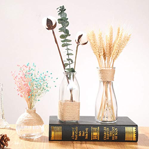 VOSAREA 15 unids Flores Secas Hierba Seca Pennisetum Conejo Cola Heno Conejito Cola Plantas Naturales Decorativas Flores Secas Pastoral Decoración para el hogar