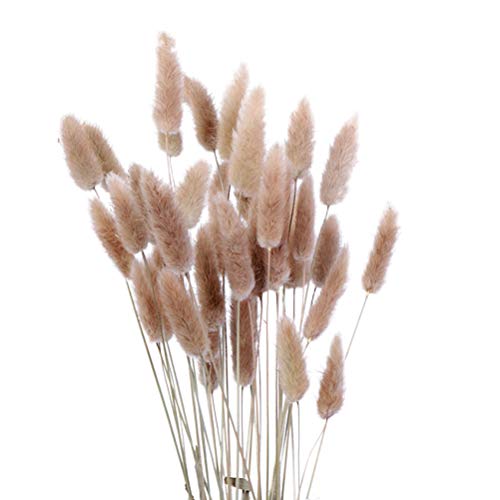 VOSAREA 15 unids Flores Secas Hierba Seca Pennisetum Conejo Cola Heno Conejito Cola Plantas Naturales Decorativas Flores Secas Pastoral Decoración para el hogar