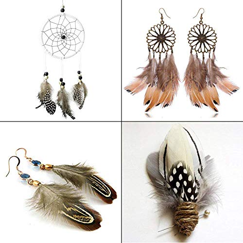 WENTS Craft Plumas de Pollo Naturales para Bricolaje, aretes, alas, atrapasueños, Manualidades, Bodas, decoración del hogar, Fiestas, 200 Unidades