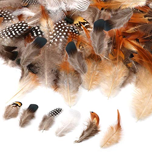 WENTS Craft Plumas de Pollo Naturales para Bricolaje, aretes, alas, atrapasueños, Manualidades, Bodas, decoración del hogar, Fiestas, 200 Unidades