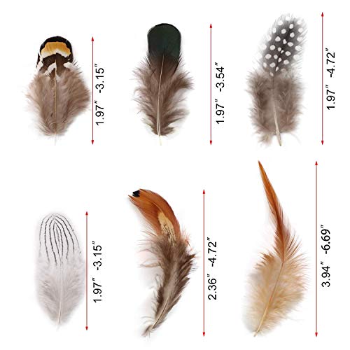 WENTS Craft Plumas de Pollo Naturales para Bricolaje, aretes, alas, atrapasueños, Manualidades, Bodas, decoración del hogar, Fiestas, 200 Unidades