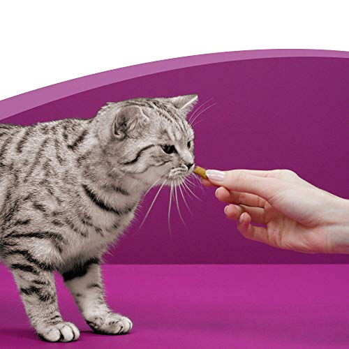 Whiskas Dentabites para La Higiene Oral de Uso Diario para Gatos (Pack de 8 x 40g)