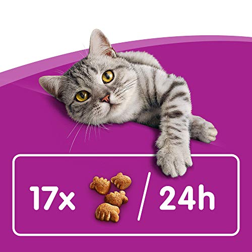 Whiskas Dentabites para La Higiene Oral de Uso Diario para Gatos (Pack de 8 x 40g)