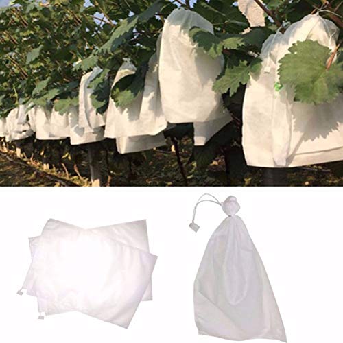 WOVELOT 100 Pcs Bolsas De Proteccion De Uva Bolsa De Malla Para Uvas De Frutas Y Verduras En Contra Bolsa De Insectos Impermeable Control De Plagas Anti-Bird Jardin 300X350Mm