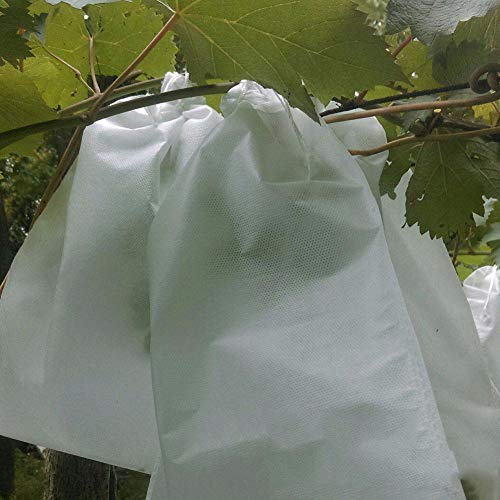 WOVELOT 100 Pcs Bolsas De Proteccion De Uva Bolsa De Malla Para Uvas De Frutas Y Verduras En Contra Bolsa De Insectos Impermeable Control De Plagas Anti-Bird Jardin 300X350Mm