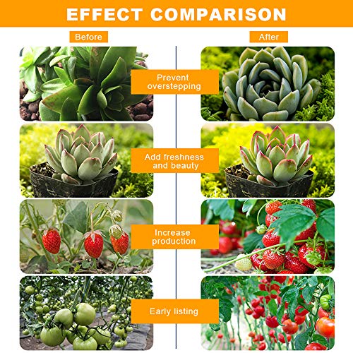 XGzhsa Bombilla de Crecimiento LED, lámpara de Crecimiento de Plantas, lámpara de Planta LED de Espectro Completo para el Crecimiento de Plantas de Invernadero de Flores de Interior (E27, 30W)